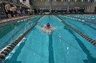 MSwim vs USCGA  Men’s Swimming & Diving vs US Coast Guard Academy. : MSwim, swimming